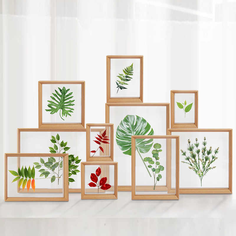 specimen frame 